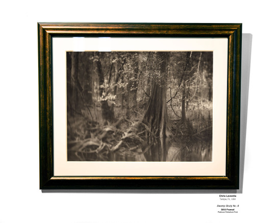 ANALOG Installation 13