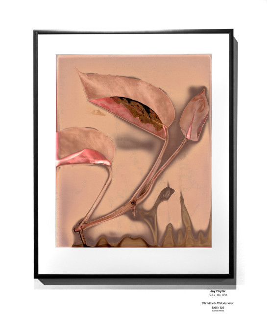 ANALOG Installation 14 v2