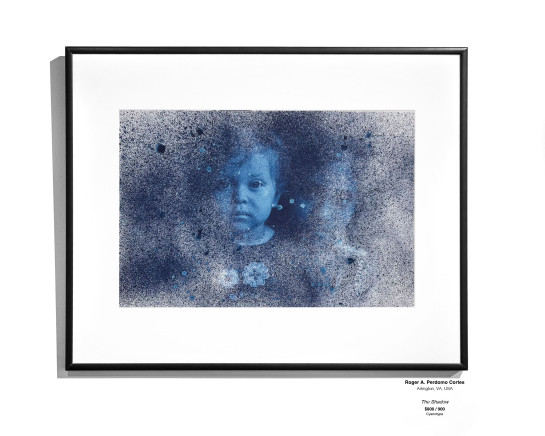 ANALOG Installation 17