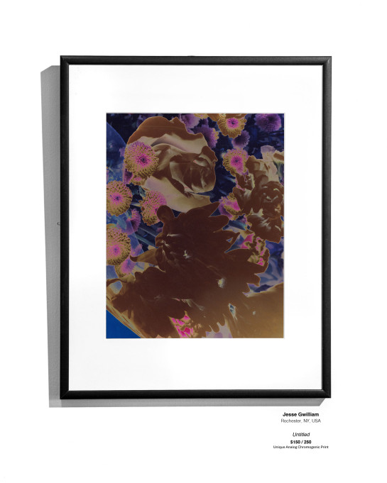 ANALOG Installation 18