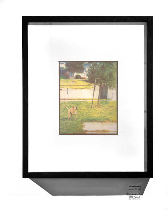 ANALOG Installation 20