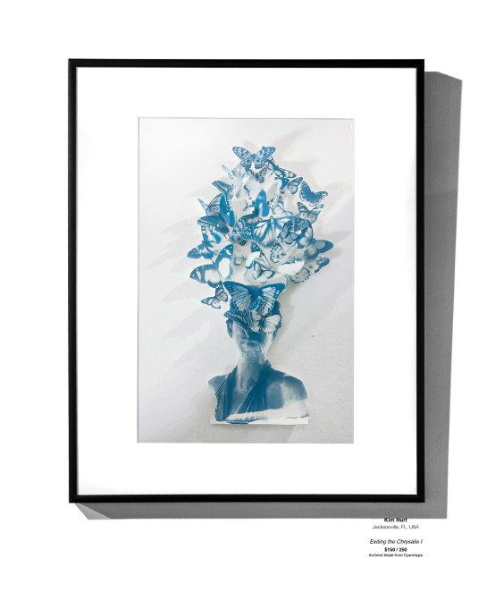 ANALOG Installation 24