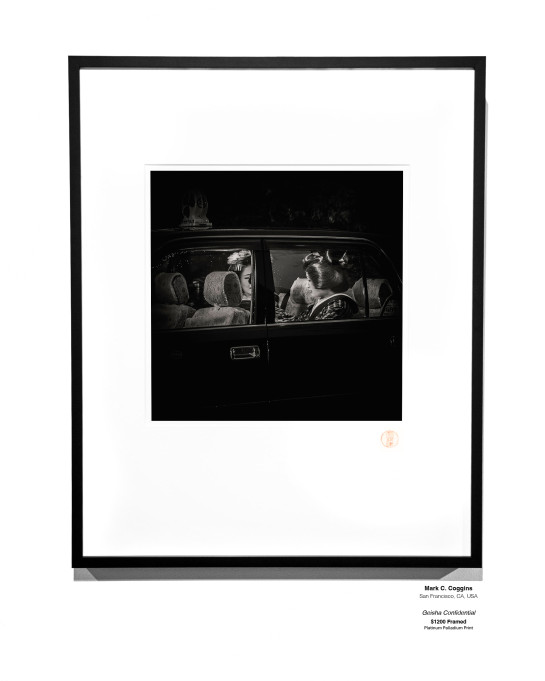 ANALOG Installation 30