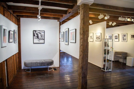 ANALOG Installation 37