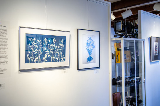 ANALOG Installation 47