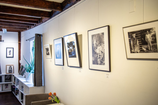 ANALOG Installation 48