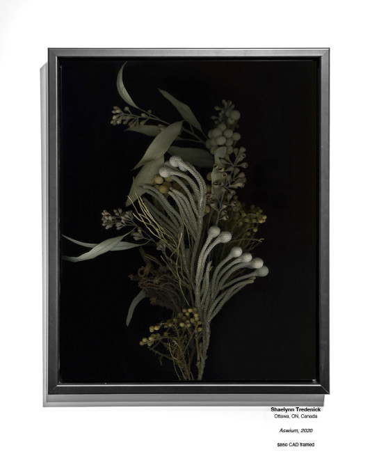 Botanical 12