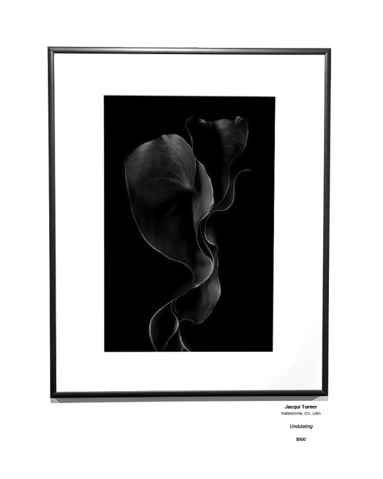 Botanical 42