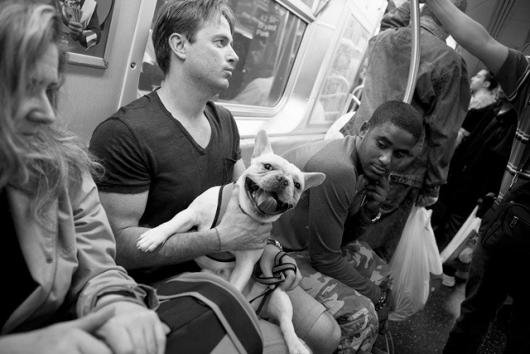 Maztner_Paul_5 Subway Smile