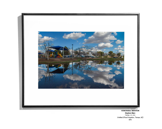 FillingTheFrame17 v2