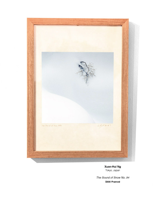 Frozen Installation 01 v2