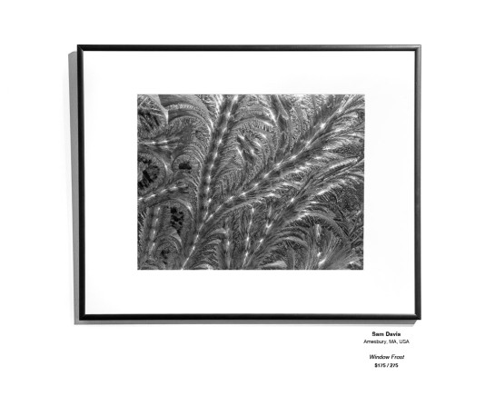 Frozen Installation 02