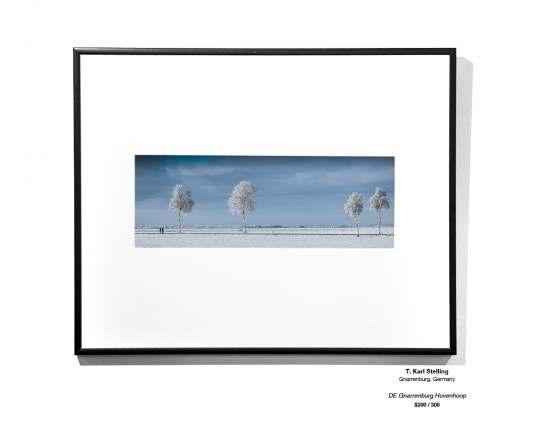 Frozen Installation 05