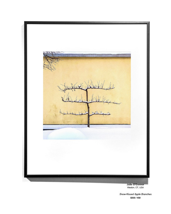 Frozen Installation 06