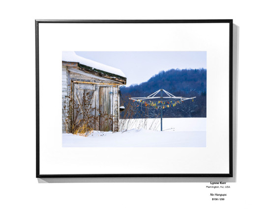 Frozen Installation 07