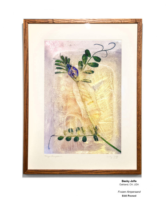 Frozen Installation 08 v2