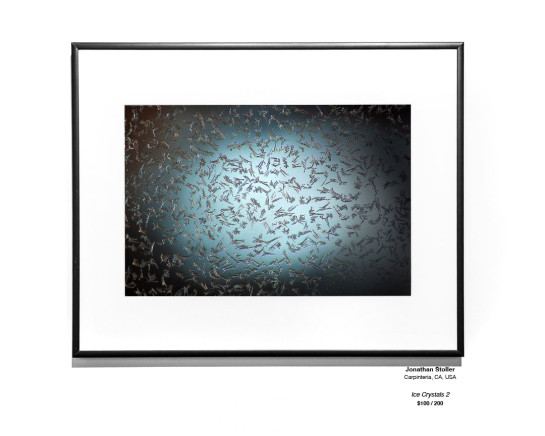 Frozen Installation 10