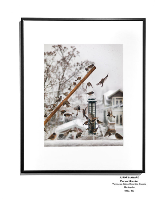 Frozen Installation 16