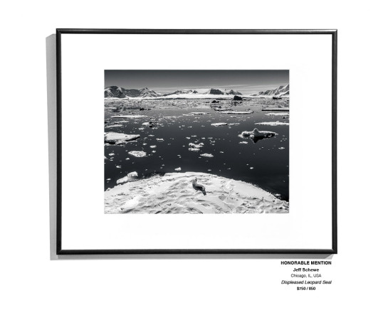 Frozen Installation 17