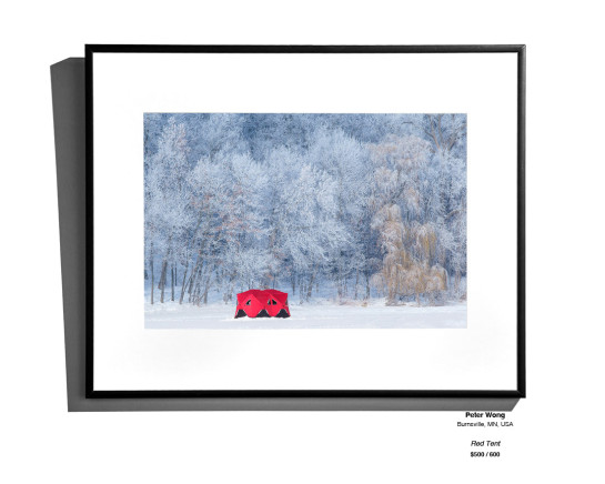 Frozen Installation 21