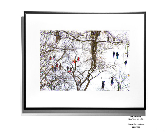 Frozen Installation 22