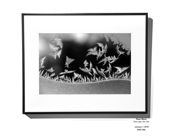 Frozen Installation 23