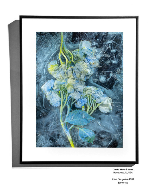 Frozen Installation 25