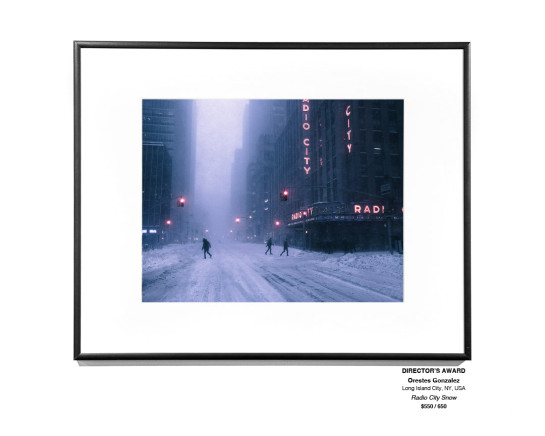 Frozen Installation 30