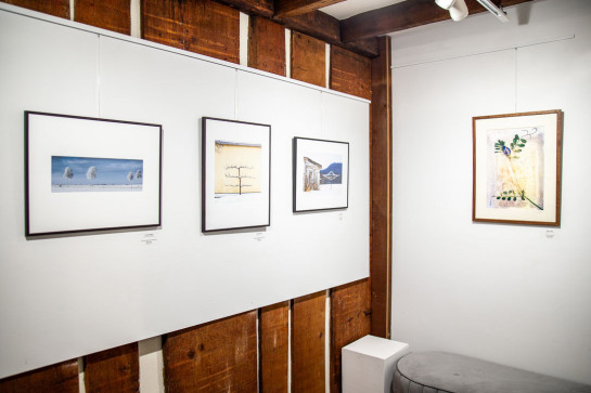 Frozen Installation 36