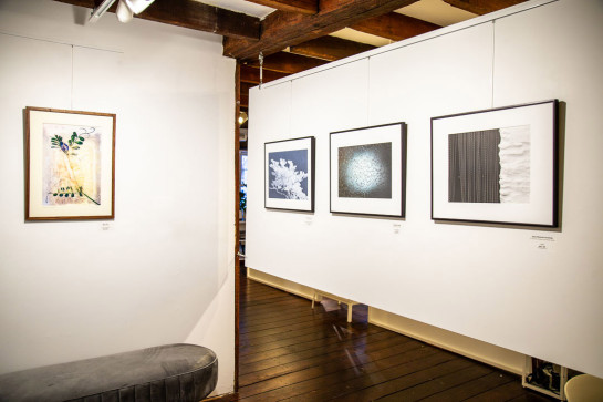 Frozen Installation 37