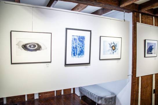 Frozen Installation 41