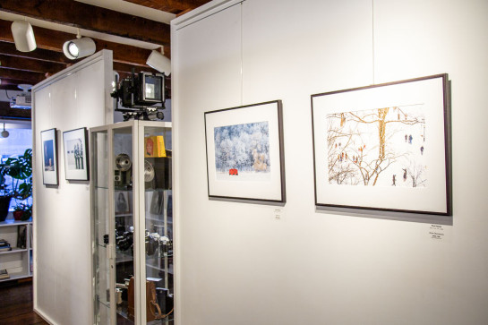 Frozen Installation 42