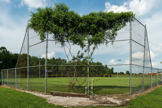 Backstop