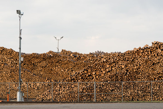 UPM Log Yard