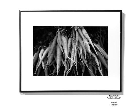 Monochrome Install 07