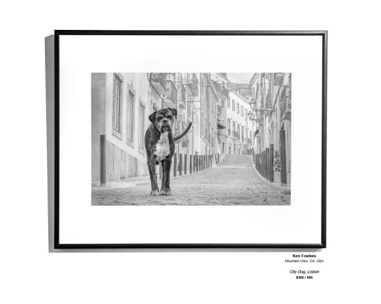 Monochrome Install 15