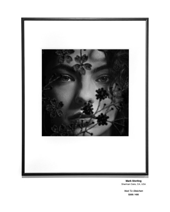 Monochrome Install 27