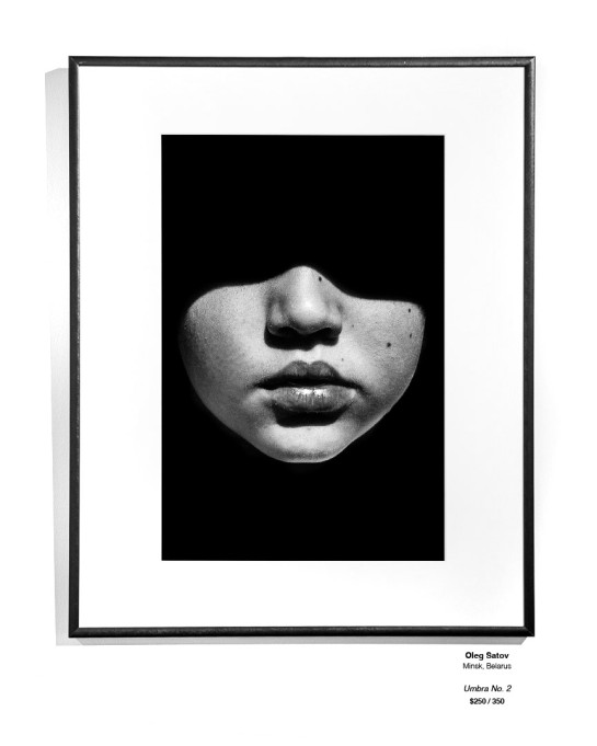 Monochrome Install 31