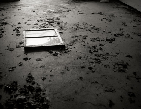 Foley_Isabel_1Untitled